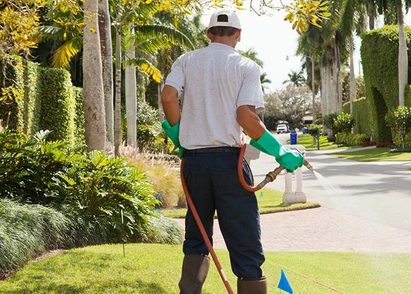 About Lovettsville VA Pest Control